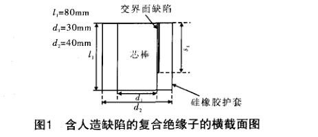 含缺陷復(fù)合絕緣子加速老化試驗